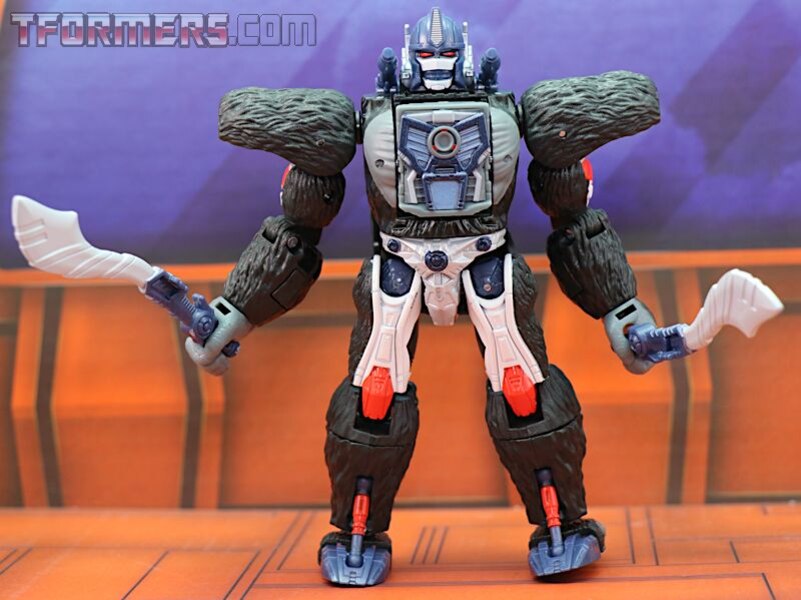 Transformers Kingdom Wave 1 Optimus Primal  (7 of 55)